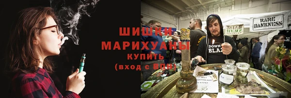 индика Киренск