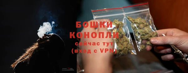индика Киренск