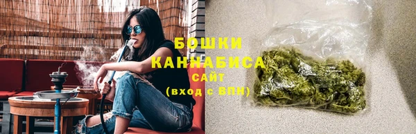 индика Киренск