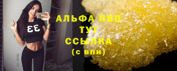 индика Киренск