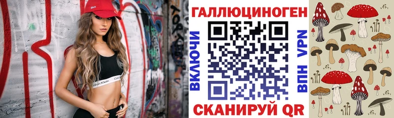 Псилоцибиновые грибы Psilocybine cubensis  Купить где  Туймазы 